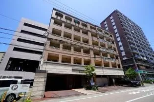 ビバリーロデオの画像