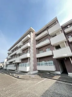 エバーグレイス西宮の画像