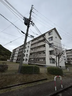 高倉台10団地44号棟の画像