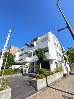 リョウジュ名次の画像