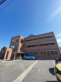 オヌールの画像