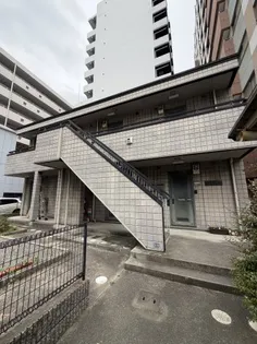 オリーブの画像