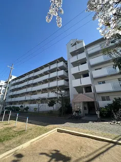 URルミエール千鳥 7号棟の画像