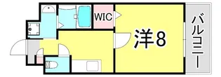 ツルトスコⅡ番館【2階】の間取り