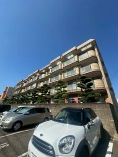 コーポウィステリア24の画像