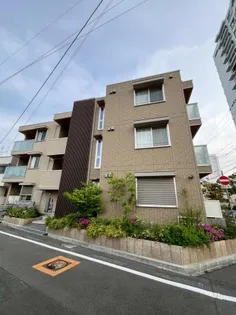 ロサ アルウェンシスの画像
