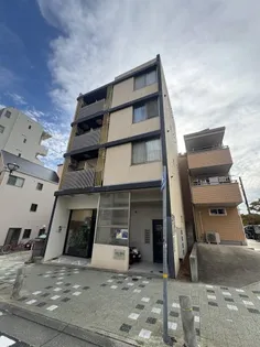 ライラックロッコーの画像