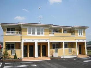 ベイローレルの画像