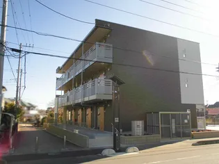 ミランダマリアライトの画像