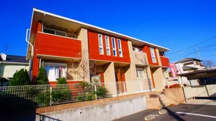 ピオニー サワグチの画像