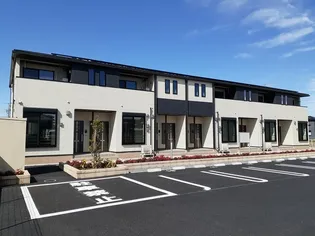 プラシードの画像