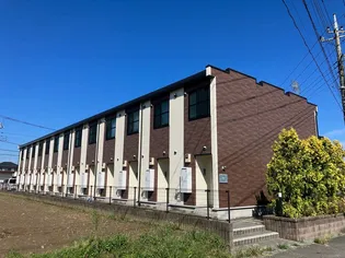 レオネクストコンカドールの画像