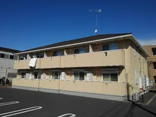 プリムローズの画像