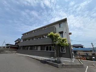 アプリコット藤光の画像