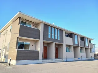 ステラ光の画像