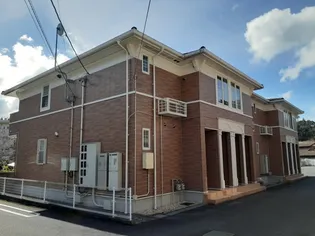 ネオ・グレイスA【2階】の外観