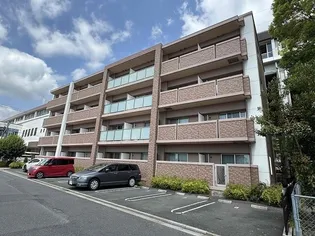 フォルトゥーナ タワラヤの画像