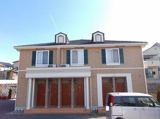 ボニート ブリッサの画像