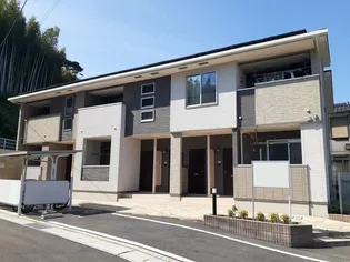 グレイシャスの画像