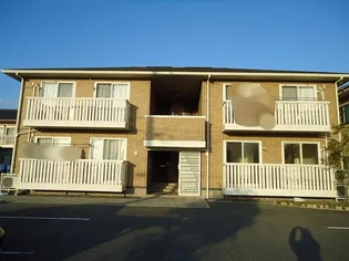 ベイベリーの画像