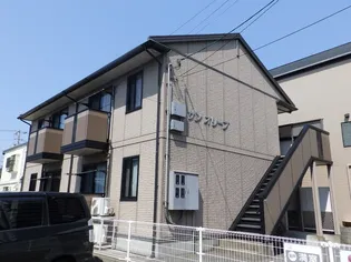 サン オリーブの画像