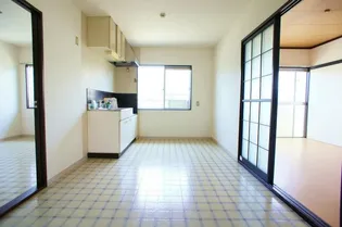 タウニ国分B棟【202号号室】の居間