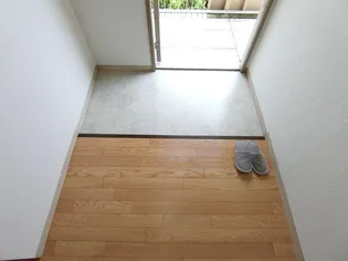 タウニ国分B棟【202号号室】の玄関