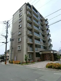 ステラSTⅡの画像