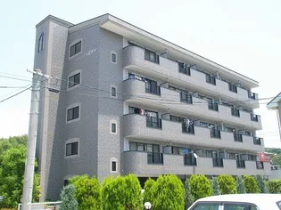 セレンディピティの画像