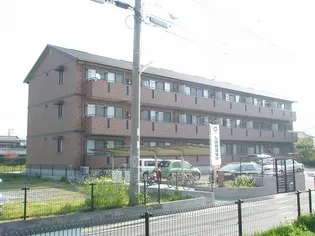 カトレアコートの画像