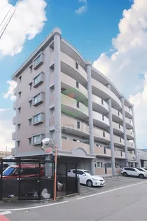 アム フルッスの画像