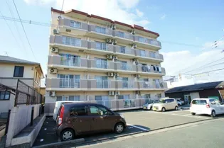 シャロム国分【4階】の外観