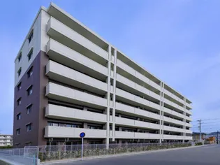 カラコレスⅤの画像