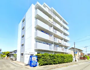 フローラルマンション【202号室】の外観