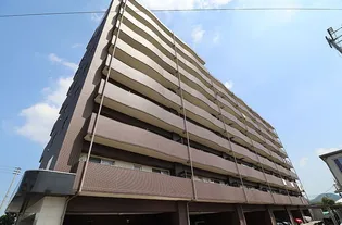 レブリアント板付の画像