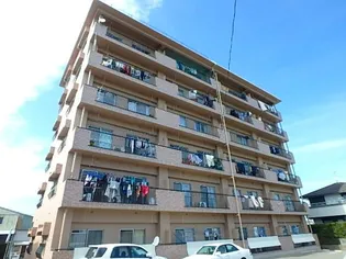 IT国分ビル【1階】の外観