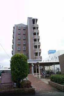 ソル レヴェンテの画像