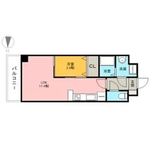 CASSIOPEIA HAKOZAKI【4階】の間取り