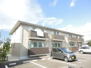 グリーンカトレアの画像