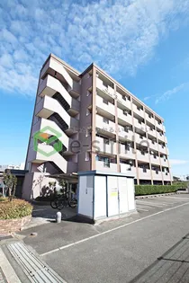 シーベルの画像