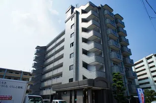 マンハイム板付の画像