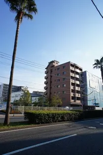 フローレス東比恵の画像