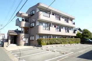 ビューカトレアの画像