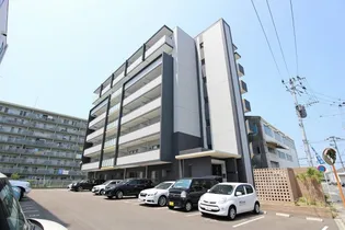 プレミアムワンの画像