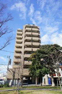 ピュアエスク比恵【507号室】の外観