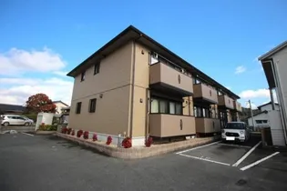 カランドリエの画像