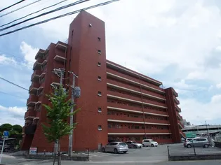 光風ハイツの画像