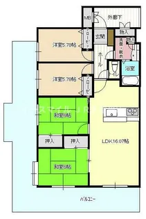 エバーライフ久留米中央【7階】の間取り