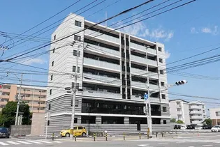 レイ和白の画像