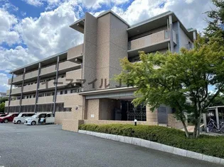 ステラ・コート参番館【4階】の外観
